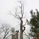 응석사주차장 이미지