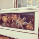 성산휴게소 - 12281 | 성산휴게소