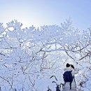 &#34;유명한 곳은 여기 다 모였네&#34; 겨울에 더 인기 많은 여행지 이미지