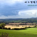 DK행정사 이미지