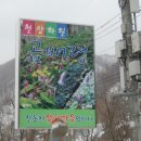 꽃별하얀 이미지