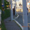 영천성남여자고등학교 이미지