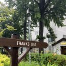 땡스오트 연남 이미지