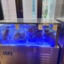 한우의 꿈 이미지