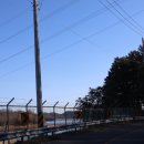 동해곰장어나라 이미지