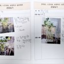 흙이랑 이미지