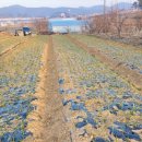 현경농장 이미지