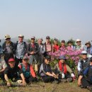 철쭉공원 이미지