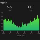 개령 | 3개령 자캠 후기(2편)