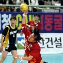다이소경남 이미지