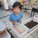 창녕우포곤충나라 이미지