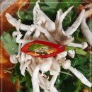 섬바위 가든 이미지