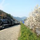 상갈래 도로변 이미지