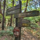 유산곡 | 경주 남산 국사곡 제4사지 삼층석탑