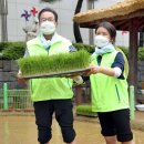 김재균농장 세계일보