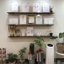 양덕동457 | 봄맞이 속눈썹 펌은 권블리가 추천하는 마산 양덕동 속눈썹 잘하는 곳 ‘뷰티온’