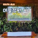 제주 남원읍 카페 머들정원 비오는날 정원산책
