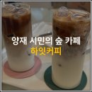 [양재시민의숲/카페] 하잇커피에서 무화과 휘낭시에는 꼭 드셔주세요