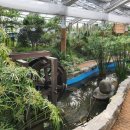 중앙원예 이미지