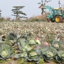 대정농업협동조합 농산물산지유통센터 이미지