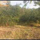 용흥리축사 이미지