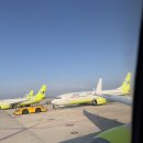 인천공항 진에어 도쿄 나리타 모바일체크인 지니스탠다드A 좌석 후기