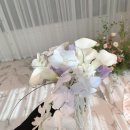 마리드엘 웨딩 이미지