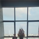 골드shot 이미지