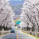 장군모텔 이미지