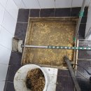 고흥군상하수도사업소 이미지