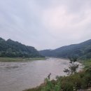 선경유통 네이버블로그