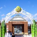 알파플러스어학원 | CIA 요리학교, 유학 준비, 입학 정보, 학비 정리 : 미국 CIA 요리유학 완벽 분석