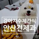 견제과 이미지