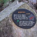 금창초(금란초), 조개나물, 큰잎조개나물(자란초), 아주가 이미지