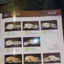 스시미노루 이미지