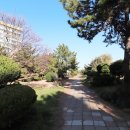 삼익부동산중개사무소 이미지