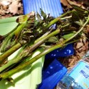 마국산둘레길 이미지