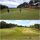 노송골프 | {경북 경산시} 55년의 역사를 자랑하는 대구CC 라운딩 후기