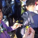 [9월 15일 양산 거북산 탐방] 보미 & 민유 엄마의 후기 이미지