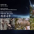 분홍색 실 모양의 독특하고 아름다운 꽃이 피는 자귀나무 이미지