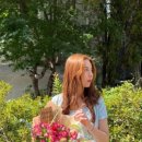 플로제이