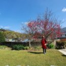 산나물밥상 이미지