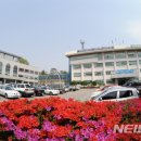 상반기 공무원 임용시험 대비반 이미지