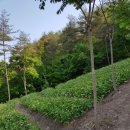 매일농장 이미지