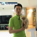 백세라이프 Daum카페