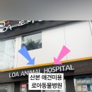 로아동물병원 이미지