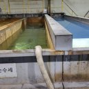 용수산업 | 안산 화성 수원 물차 살수차 공장용수 수압테스트물공급 탱크로리 물배달 서비스