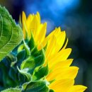 매자리길 이미지