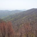 일산초교 이미지