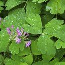 구암교지선 이미지